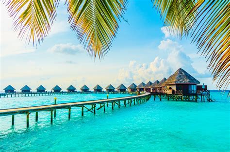 The MALDIVES is the PARADISE on EARTH MALDIVAS es el.